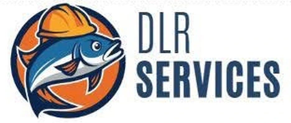 DLR Services logo
